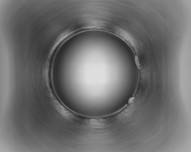 X0000112851138200908211255