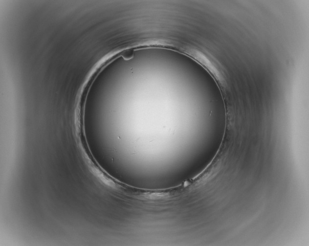 X0000112851140200908211255