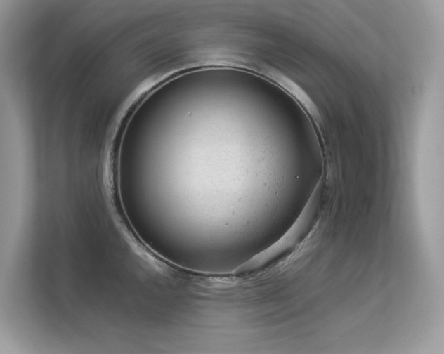X0000112851144200908211255