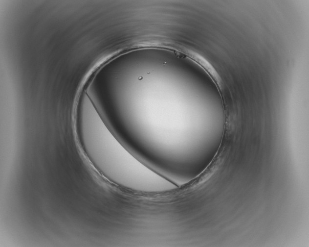 X0000112851146200908211255