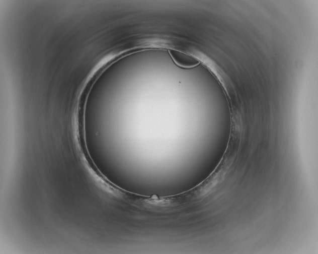 X0000112851147200908211255