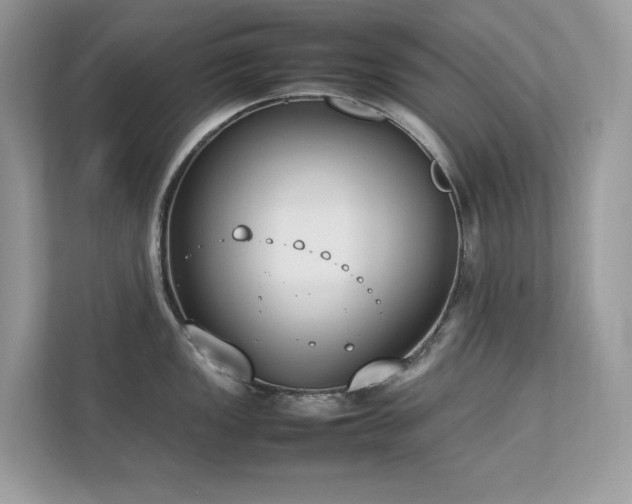 X0000112851149200908211255