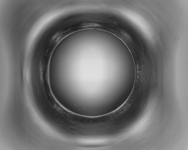 X0000112851151200908211255