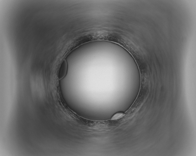 X0000112851153200908211255