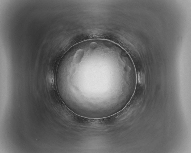 X0000112851155200908211255