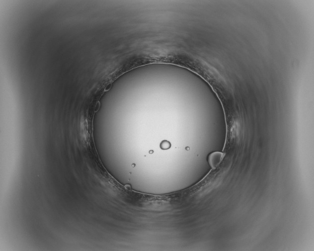 X0000112851156200908211255