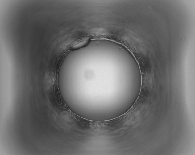 X0000112851157200908211255