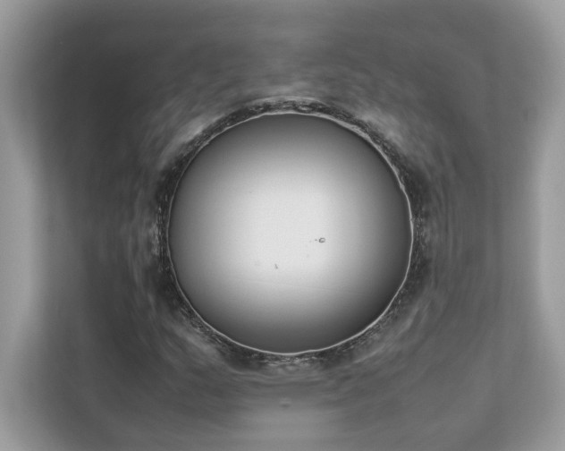 X0000112851159200908211255