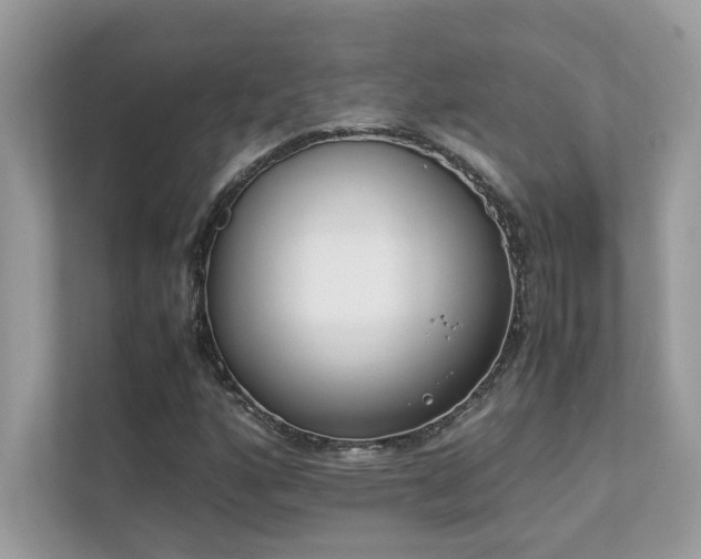 X0000112851160200908211254