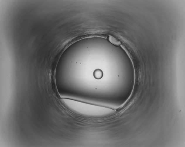 X0000112851161200908211254