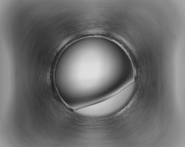 X0000112851162200908211254