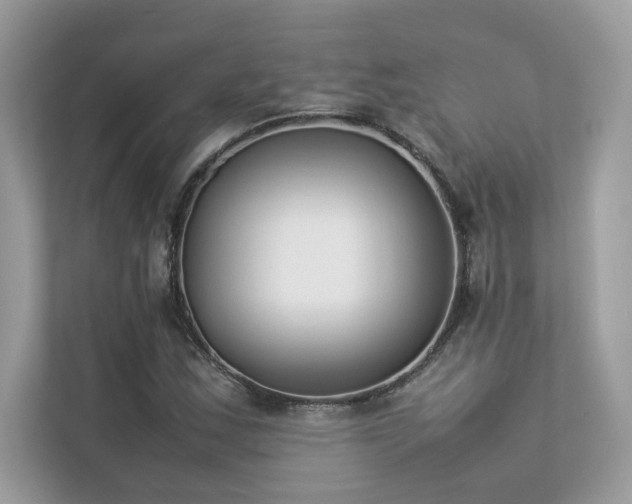 X0000112851163200908211254