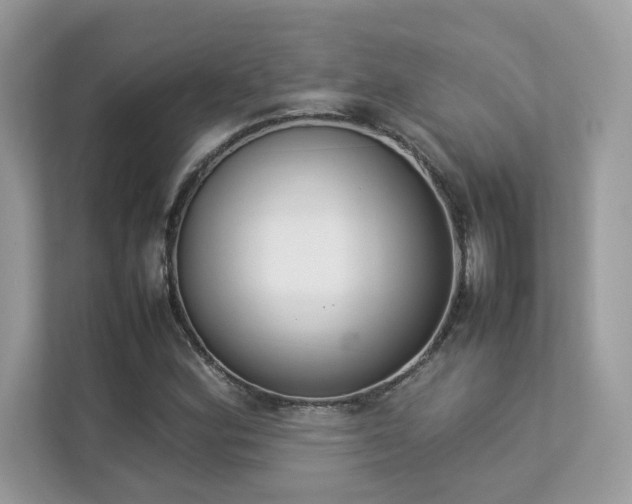 X0000112851164200908211254