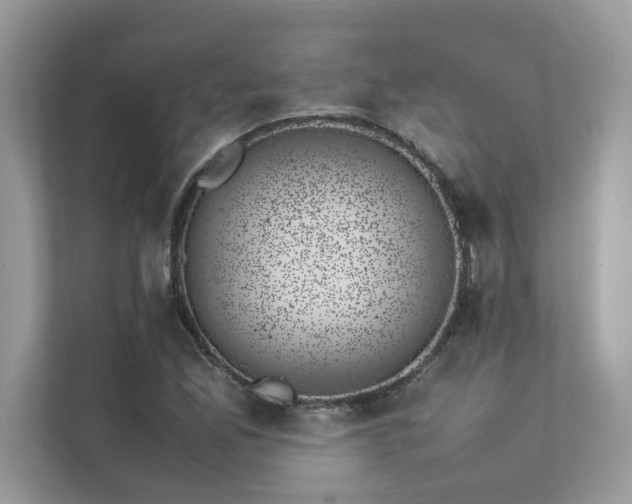 X0000112851165200908211254