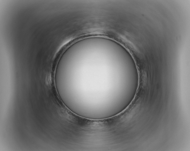X0000112851166200908211254