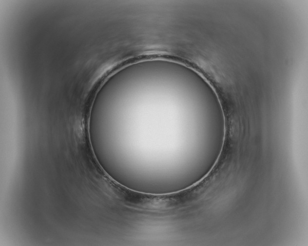 X0000112851167200908211254