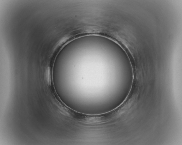 X0000112851171200908211254