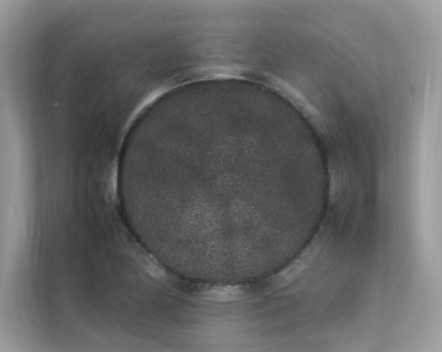 X0000112851174200908211254
