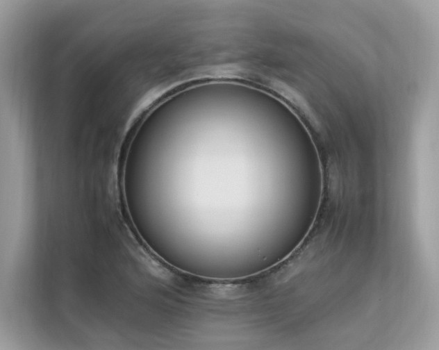 X0000112851176200908211254