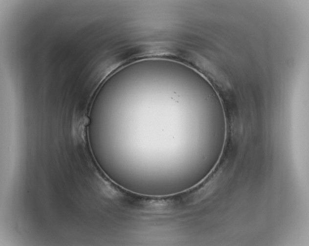 X0000112851177200908211254