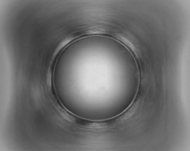 X0000112851179200908211254
