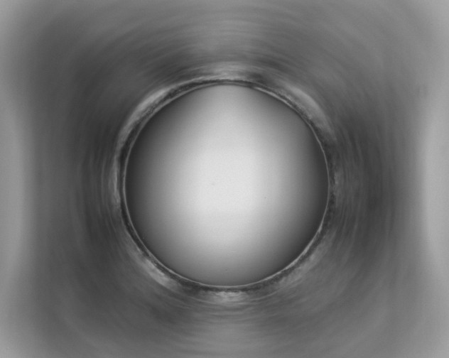 X0000112851180200908211254