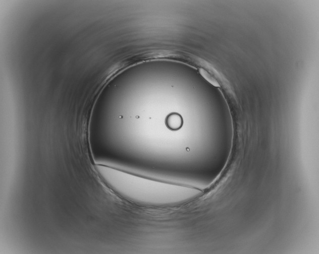 X0000112851185200908211254