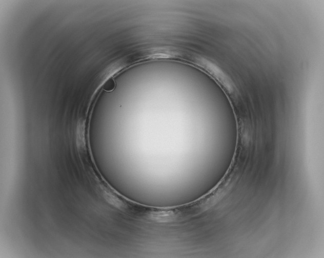 X0000112851186200908211254