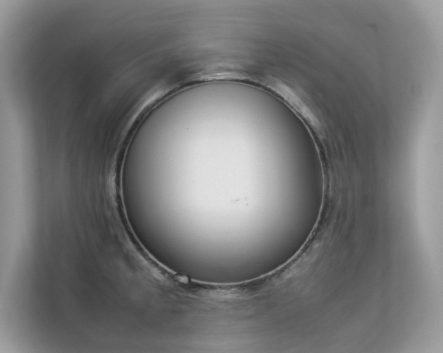 X0000112851189200908211254