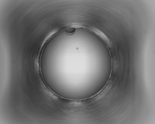 X0000112851190200908211254