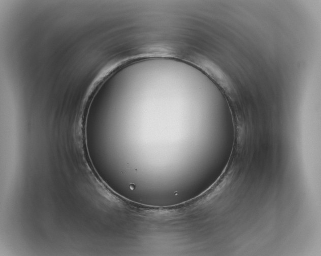 X0000112851192200908211254