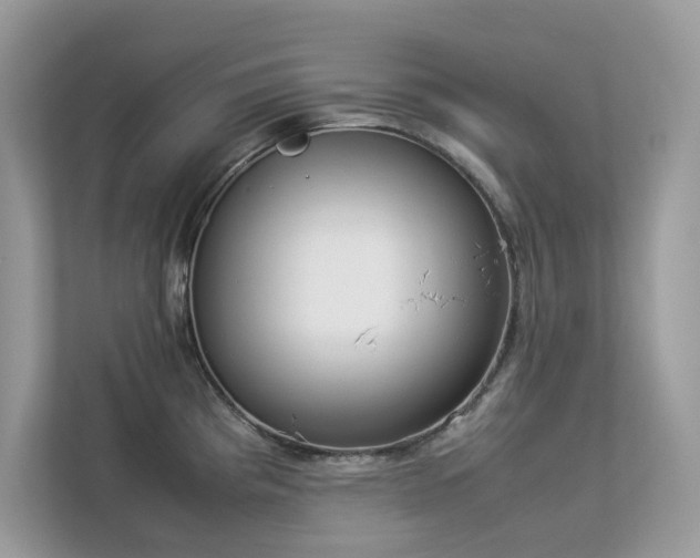 X0000112851193200908211254