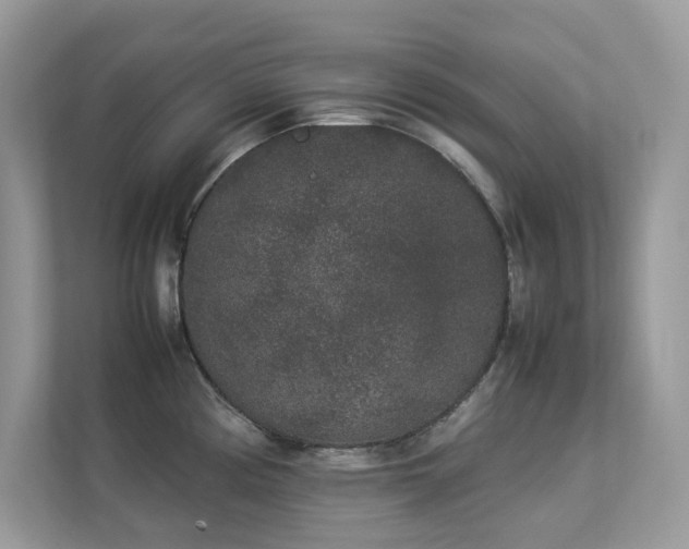 X0000112851194200908211254