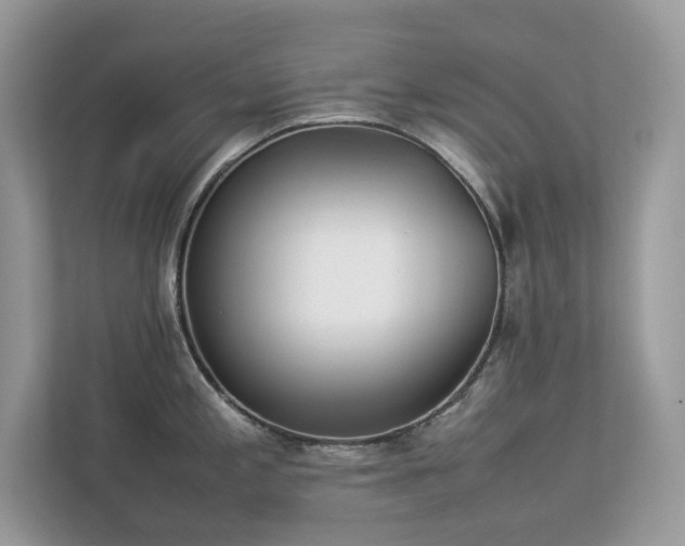 X0000112851197200908211254