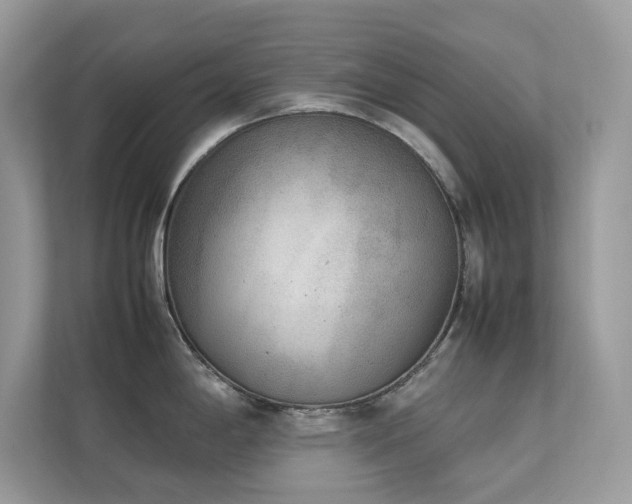 X0000112851198200908211254