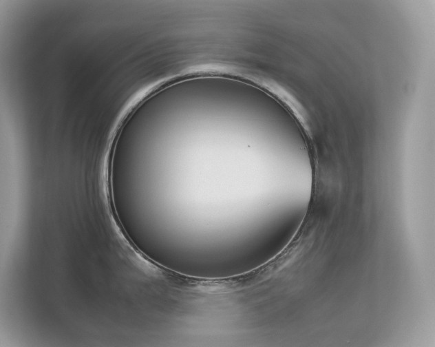 X0000112851199200908211254