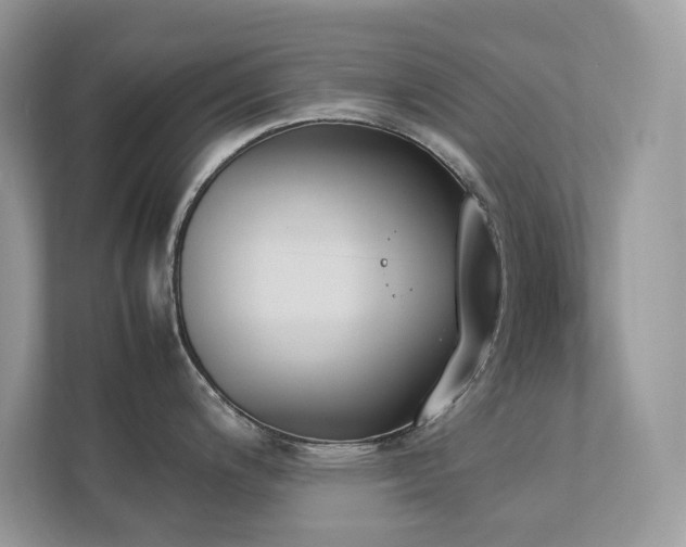 X0000112851200200908211254
