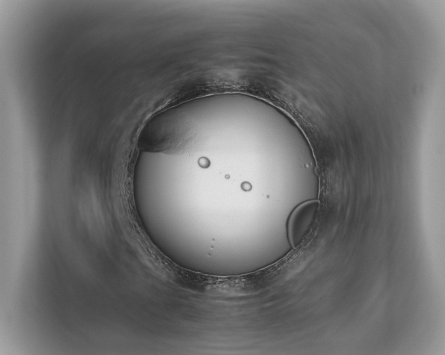 X0000112851201200908211253