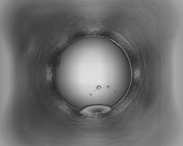 X0000112851204200908211253