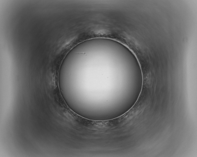 X0000112851205200908211253