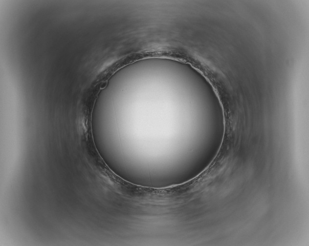 X0000112851206200908211253
