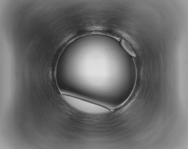 X0000112851209200908211253