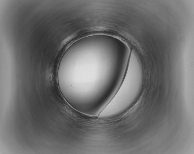 X0000112851210200908211253