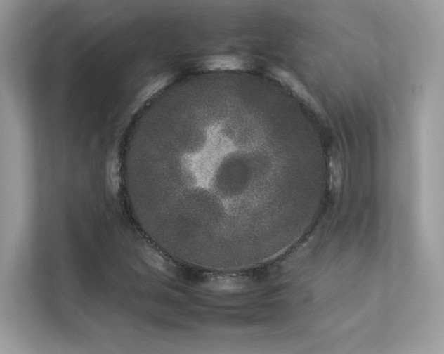 X0000112851213200908211254
