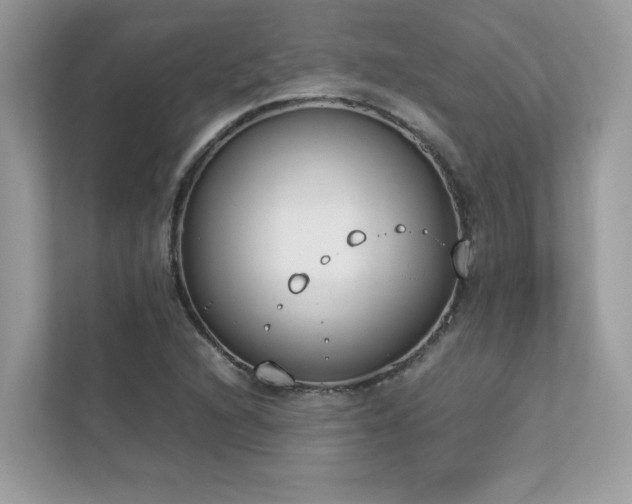 X0000112851216200908211254