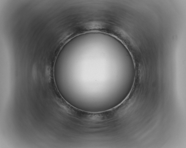 X0000112851217200908211254