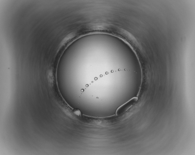 X0000112851218200908211254