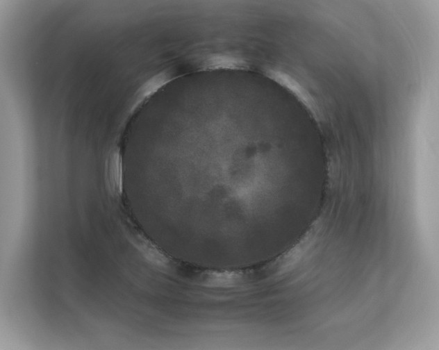 X0000112851219200908211254