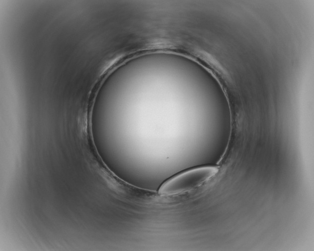 X0000112851220200908211254