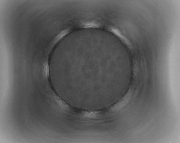 X0000112851221200908211254